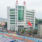 龙岩卫生学校标志