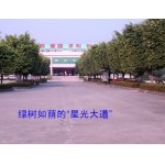 东莞市大朗启东学校标志