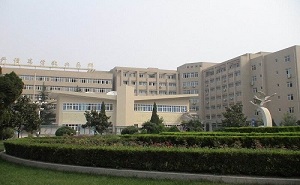 河南航空乘务学校标志