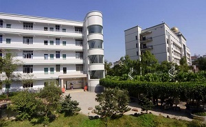 河南医学高等专科学校五年制大专标志