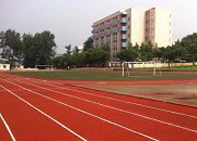 上海南汇区实验学校